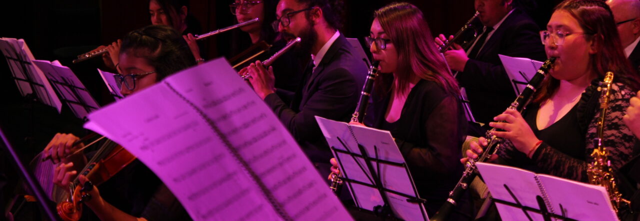 Orquesta Juvenil ULagos inicia temporada este viernes con «Alborada»