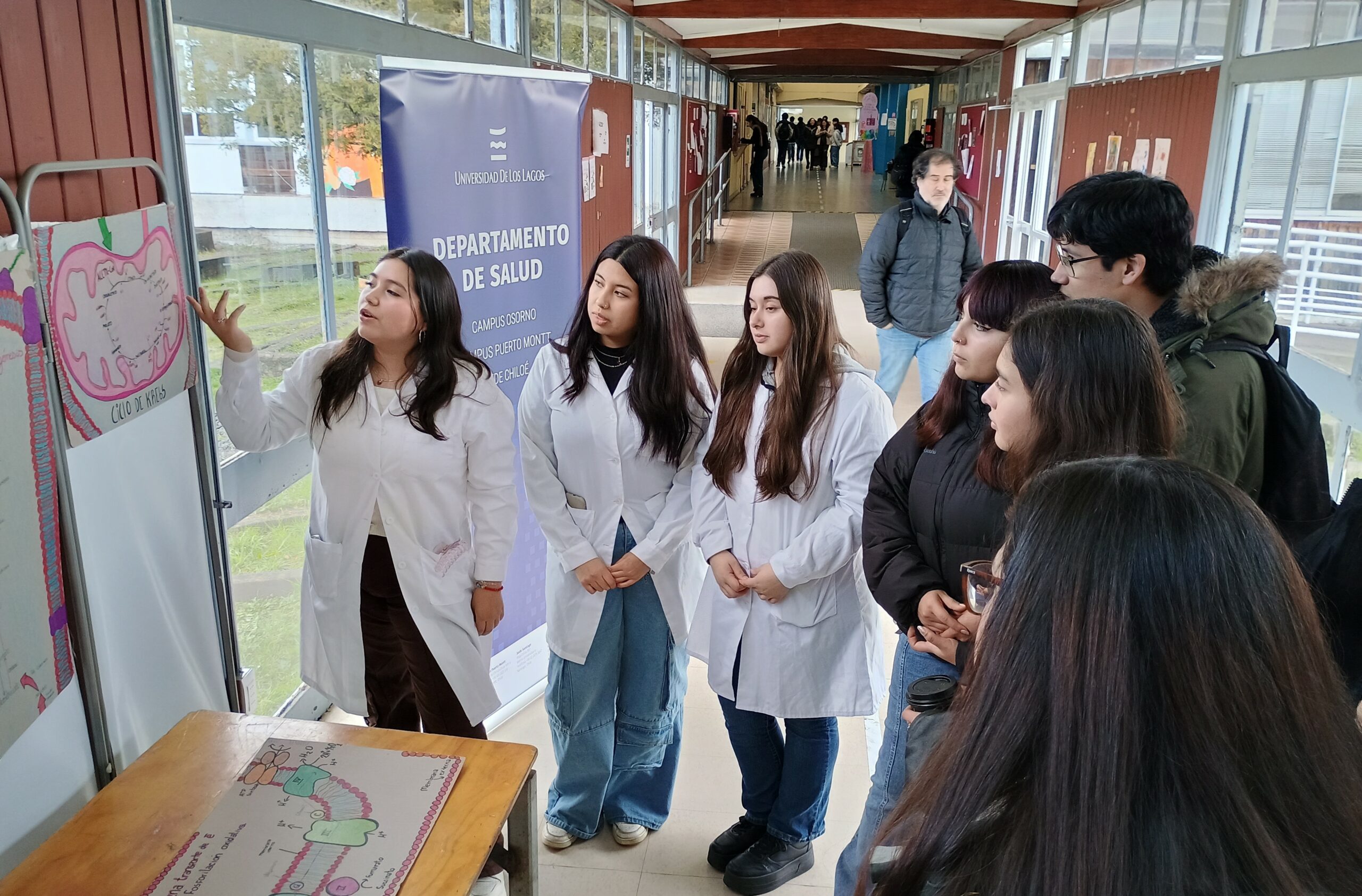 Académicos ULagos participaron de simposio sobre la formación interprofesional en Salud