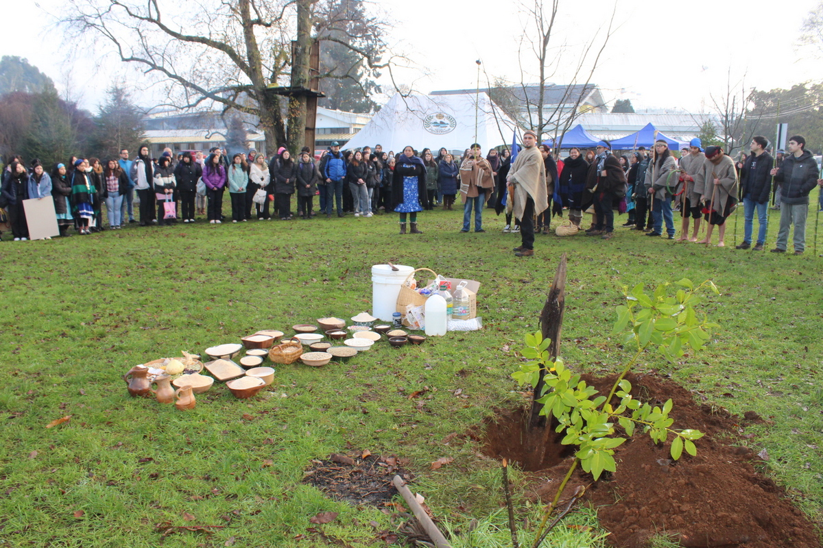 Agradecimientos We Tripantu año 2024 (campus Osorno)
