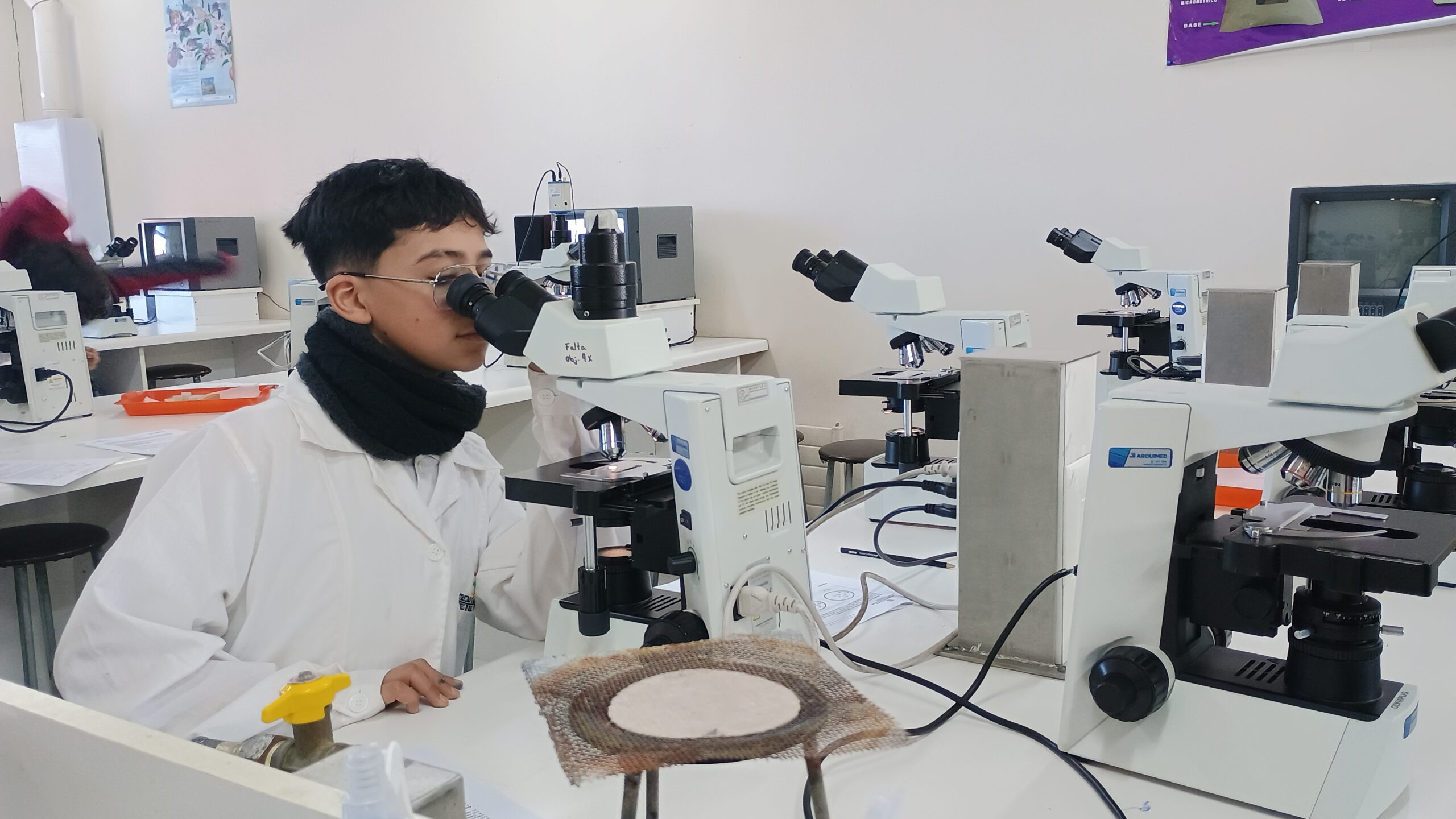Estudiantes de Escuela México viven exitosa experiencia en laboratorio ULagos