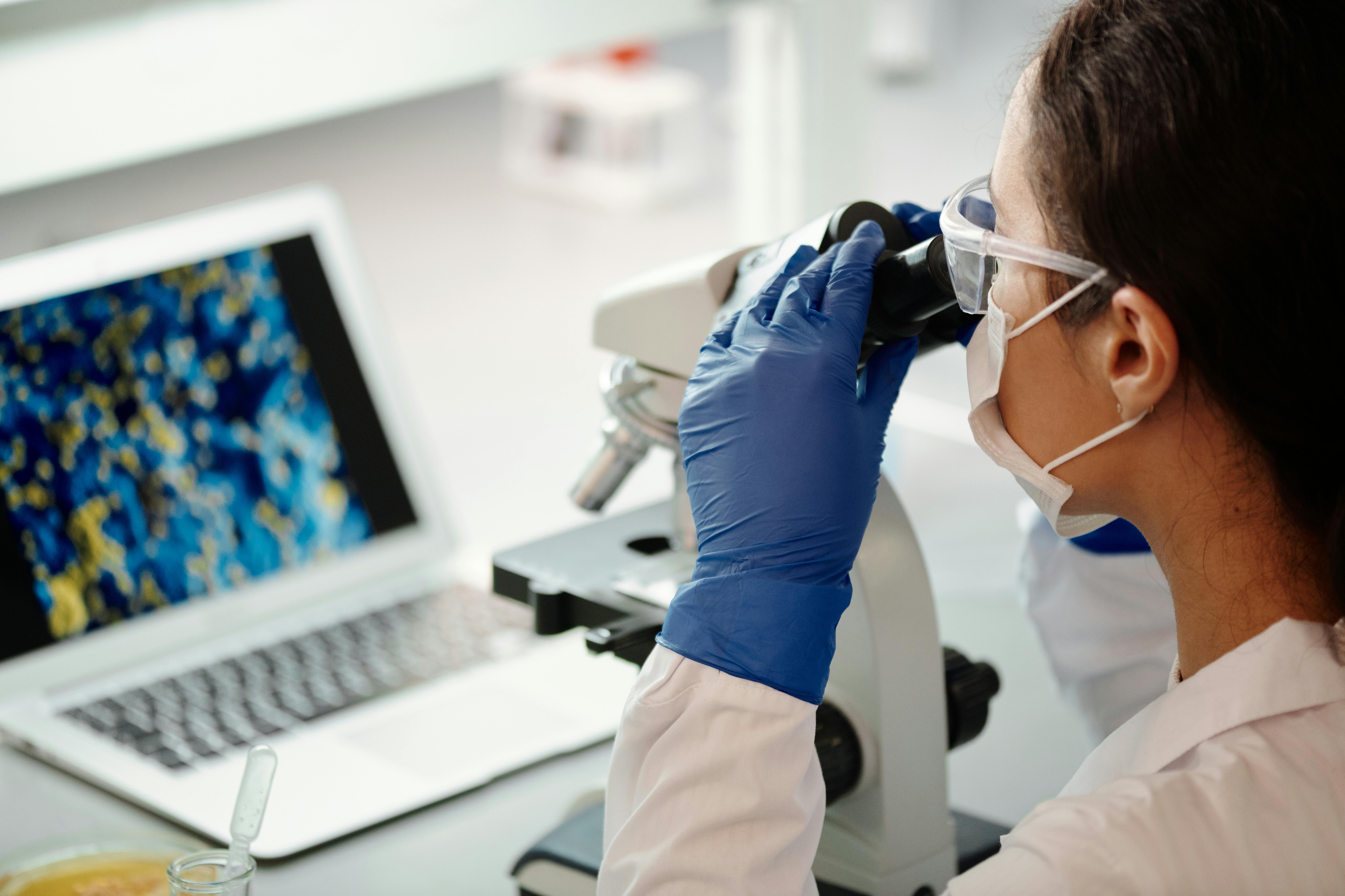 ULagos impactará con el primer programa de Biomedicina y Biotecnología