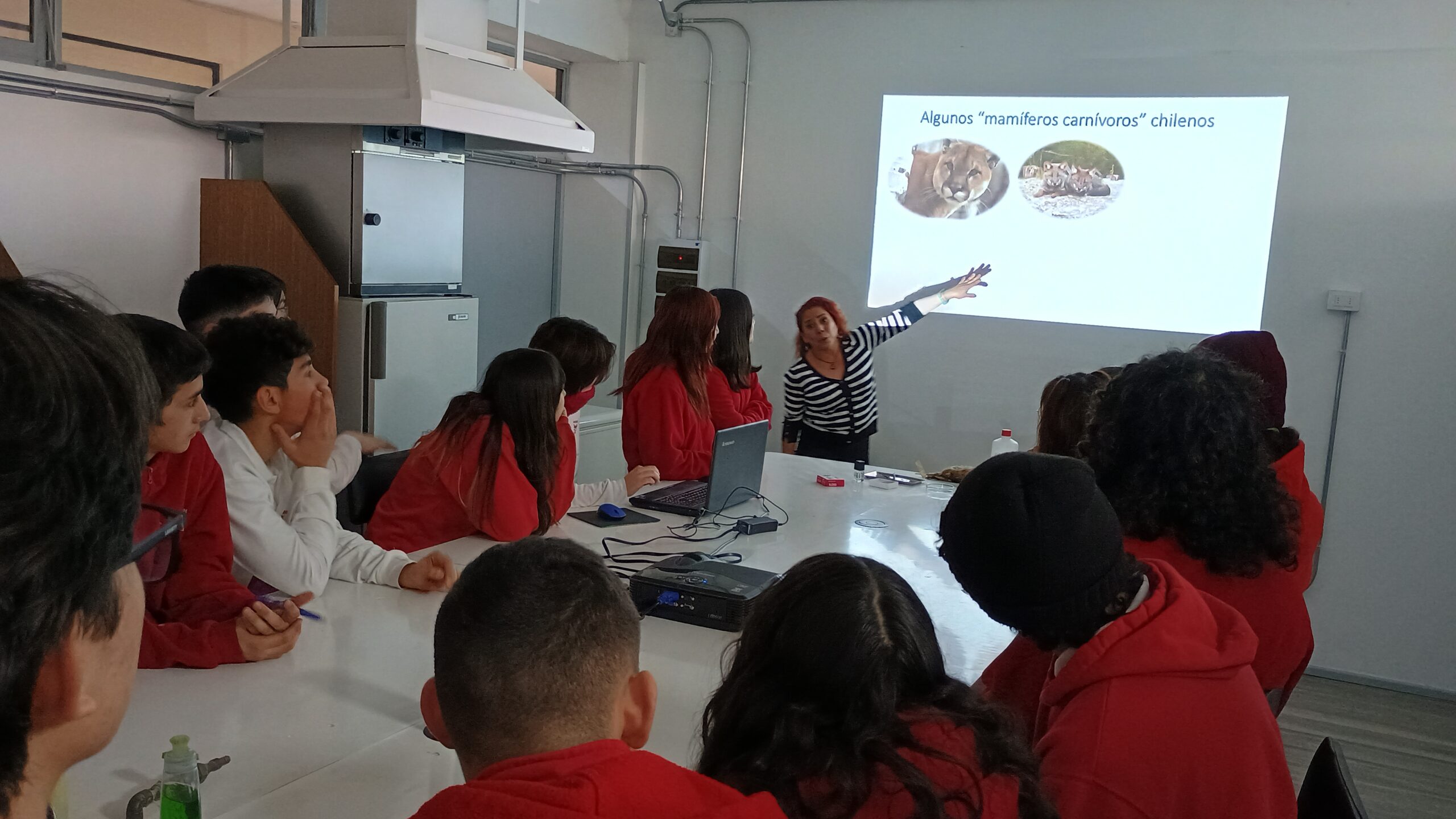 Estudiantes de enseñanza media conocen y aprenden en la ULagos sobre aves y mamíferos