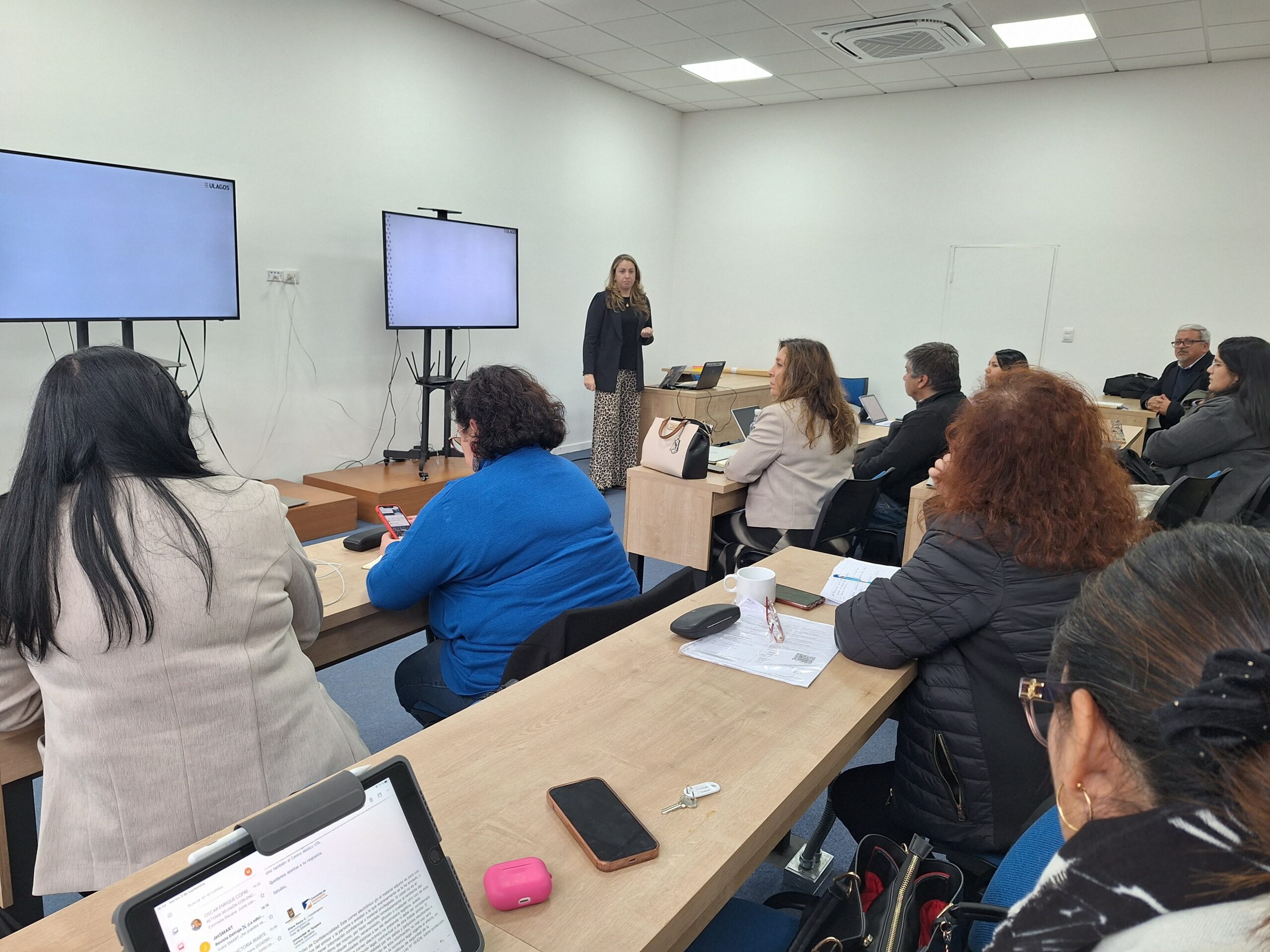 Universidades de Los Lagos y de Talca exponen experiencias en ciclo de buenas prácticas en VcM