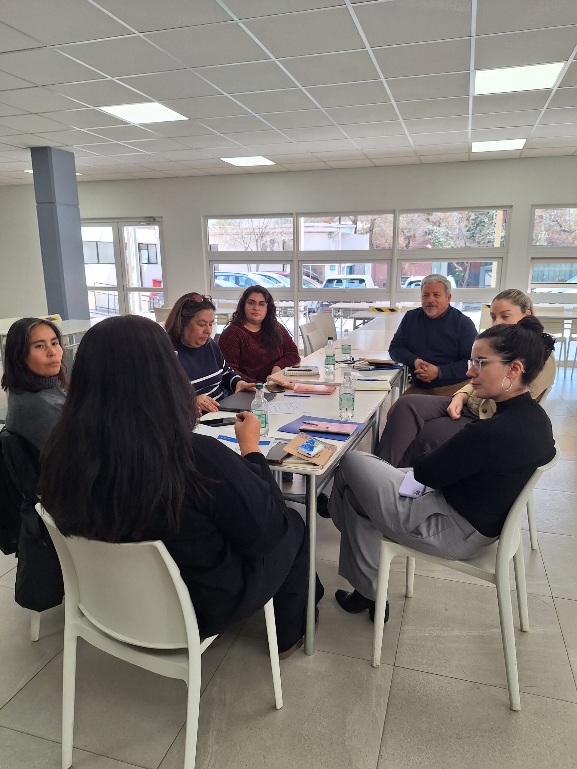 Red de Vinculación con el Medio realiza talleres para avanzar en principales desafíos del área