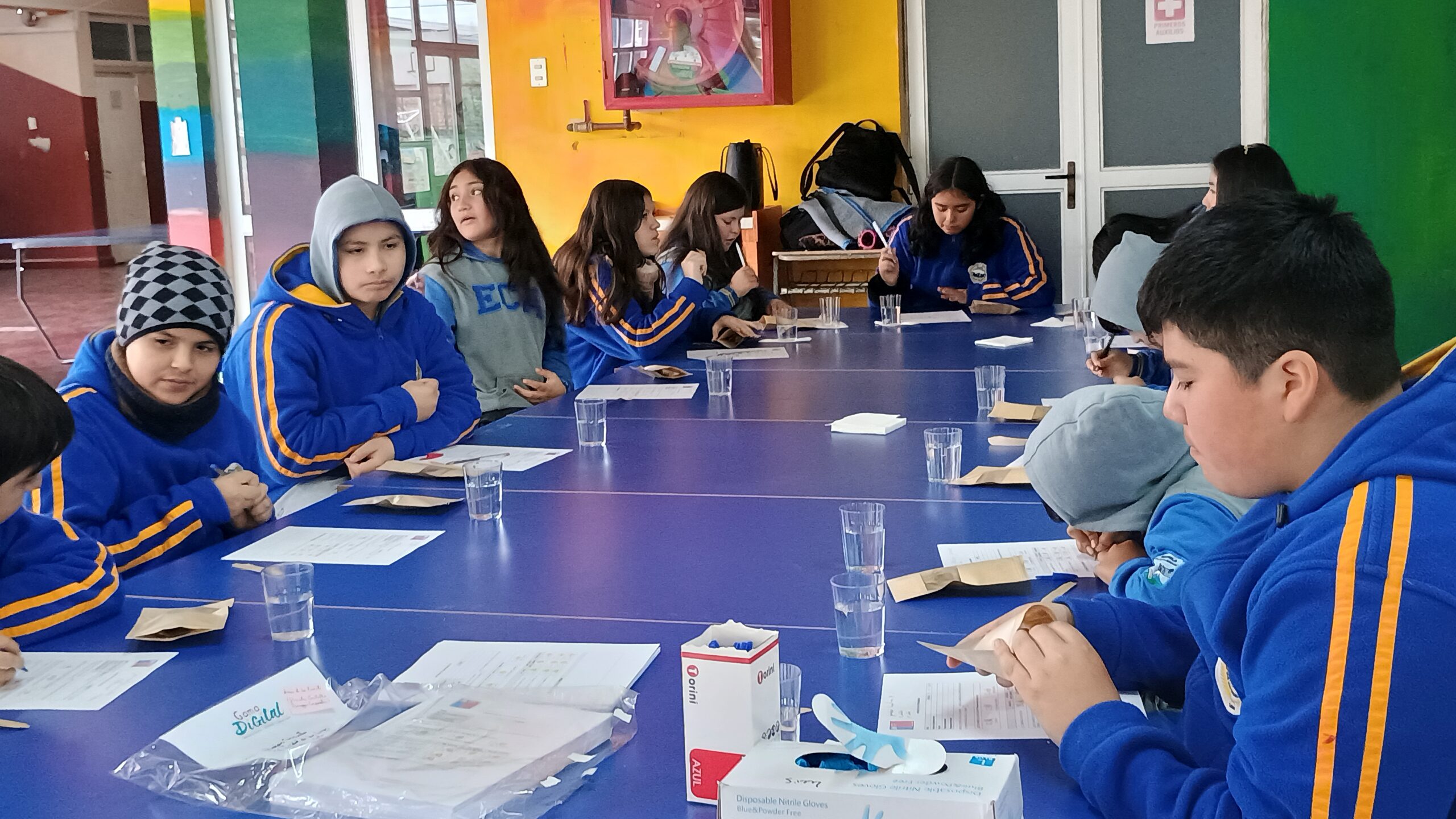 Universidad apuesta por incorporar entre los escolares “nachos de cochayuyo” como snack