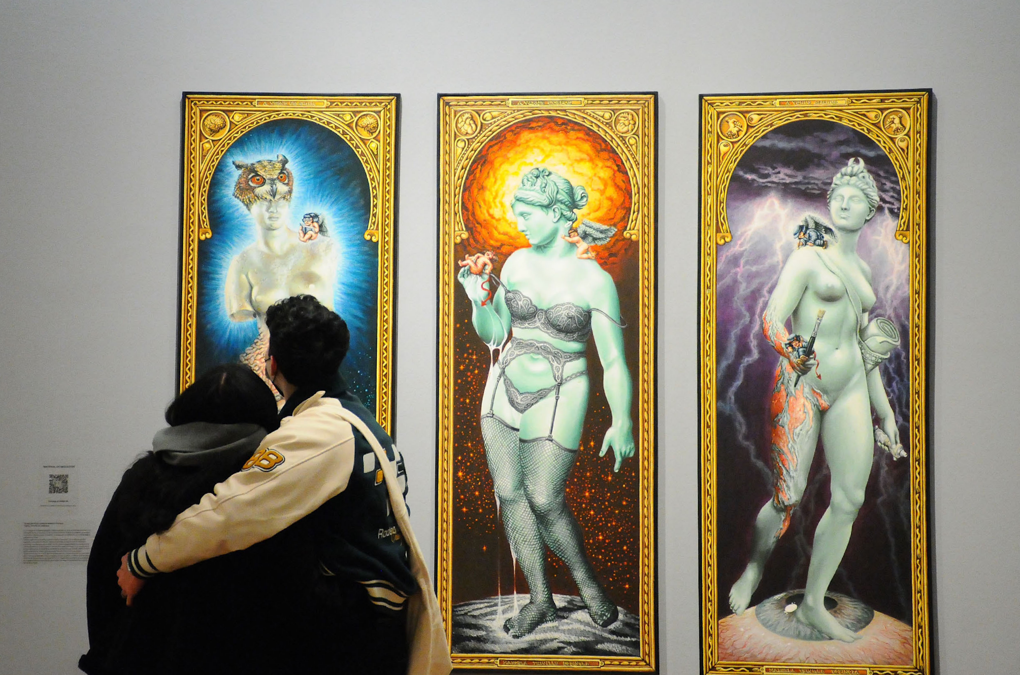 Museo de Artes Visuales de la Universidad Católica llega a Osorno invitado por la Universidad de Los Lagos