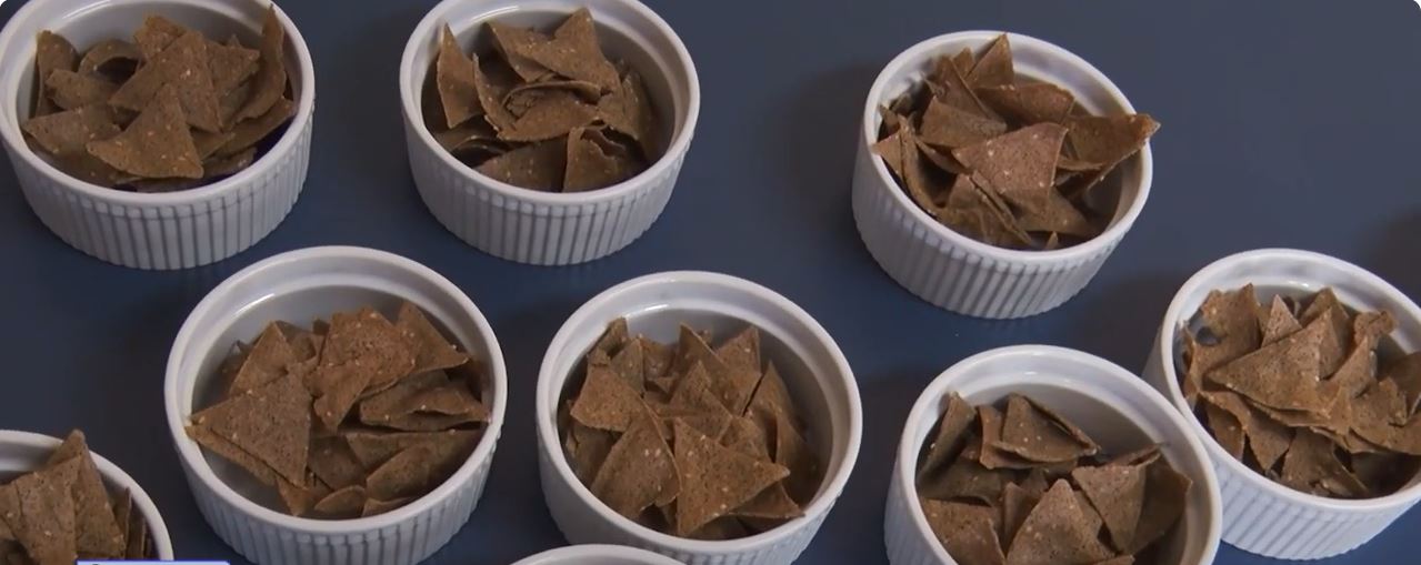 Investigadores ULagos avanzan en la producción de snacks de cochayuyo