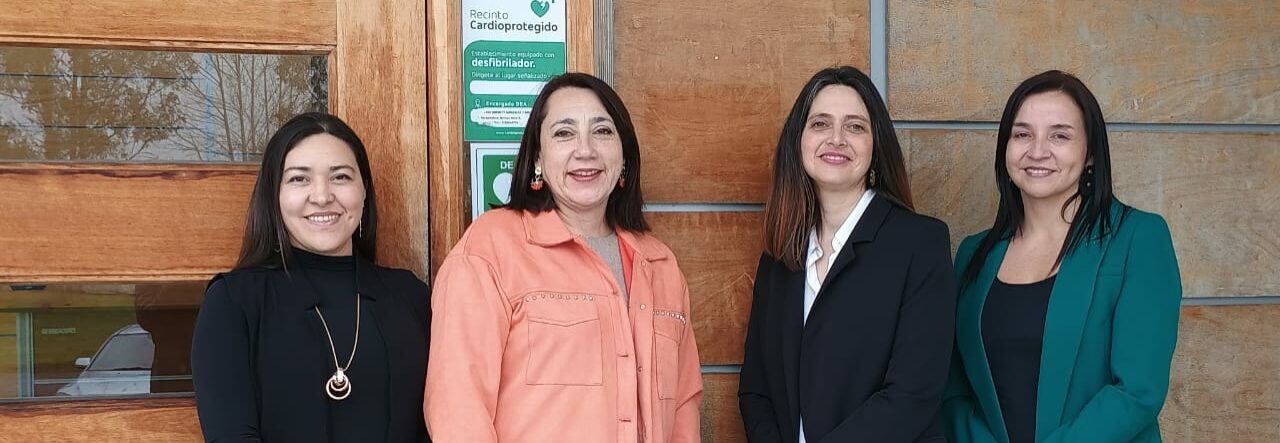 Investigadoras ULagos son invitadas a contribuir en políticas públicas para la niñez