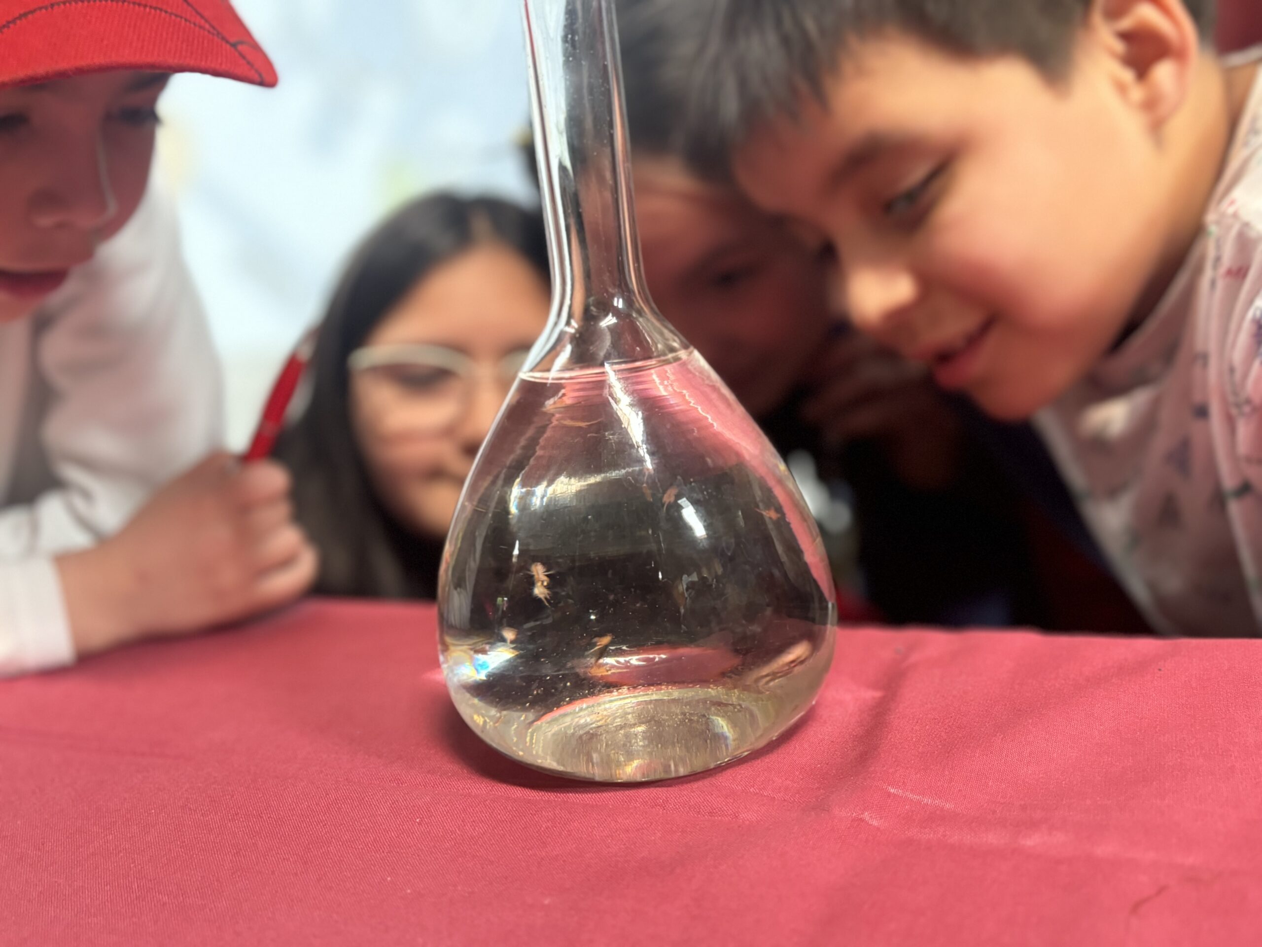 Escolares conocen y aprenden en el stand ULagos instalado en la feria científica de su colegio