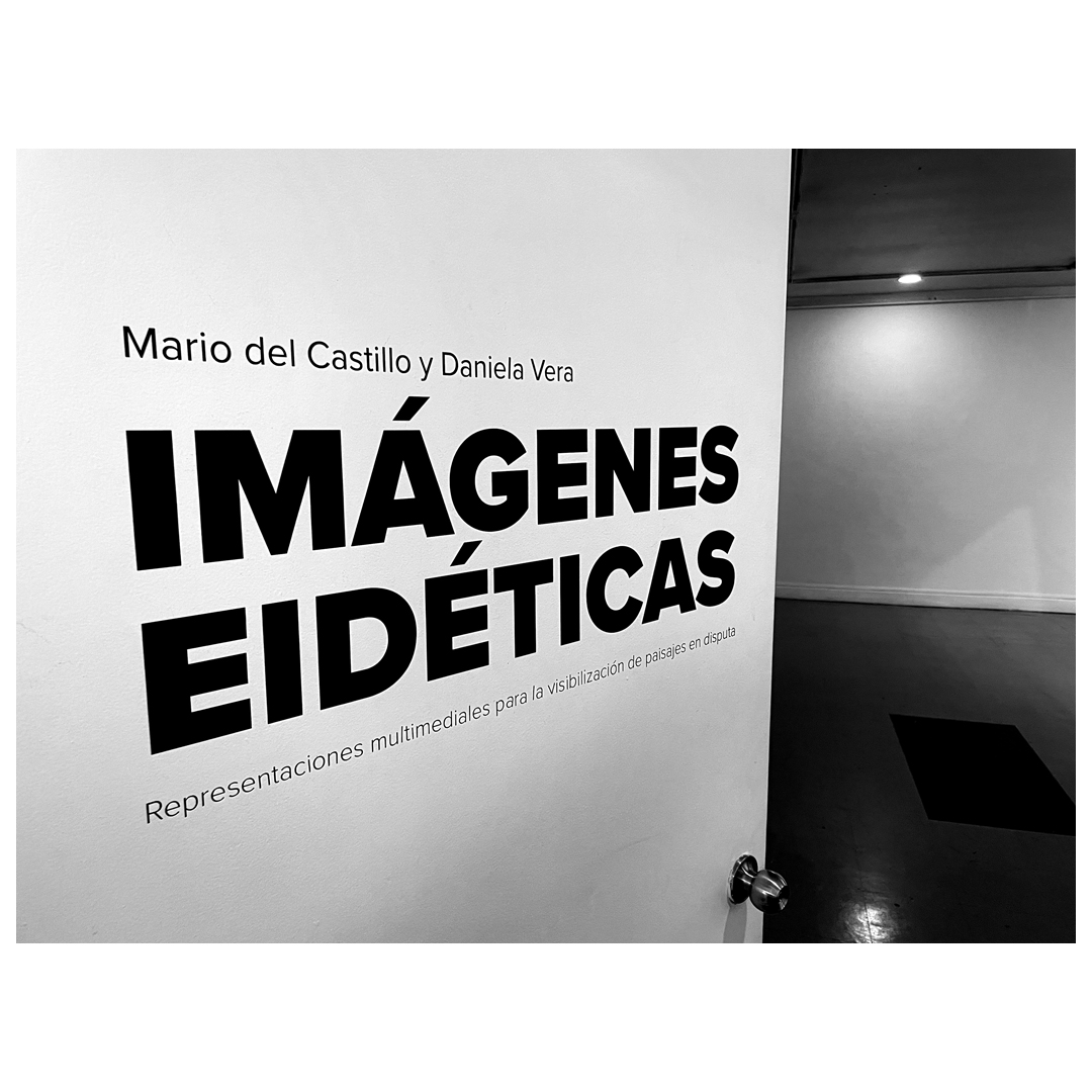 De SUR a SUR: artistas e investigadores ULagos exponen en Festival Internacional de Arte BAG 7