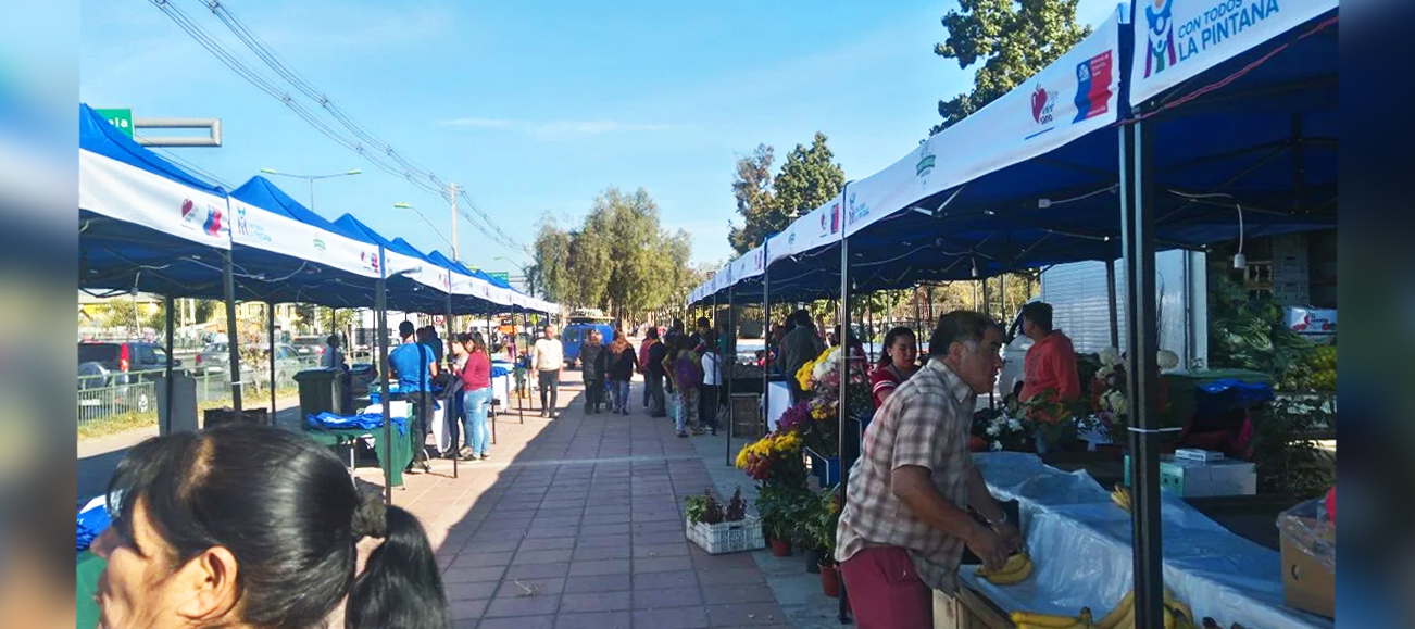 Investigadora aborda la complejidad en la implementación de las nuevas guías alimentarias chilenas