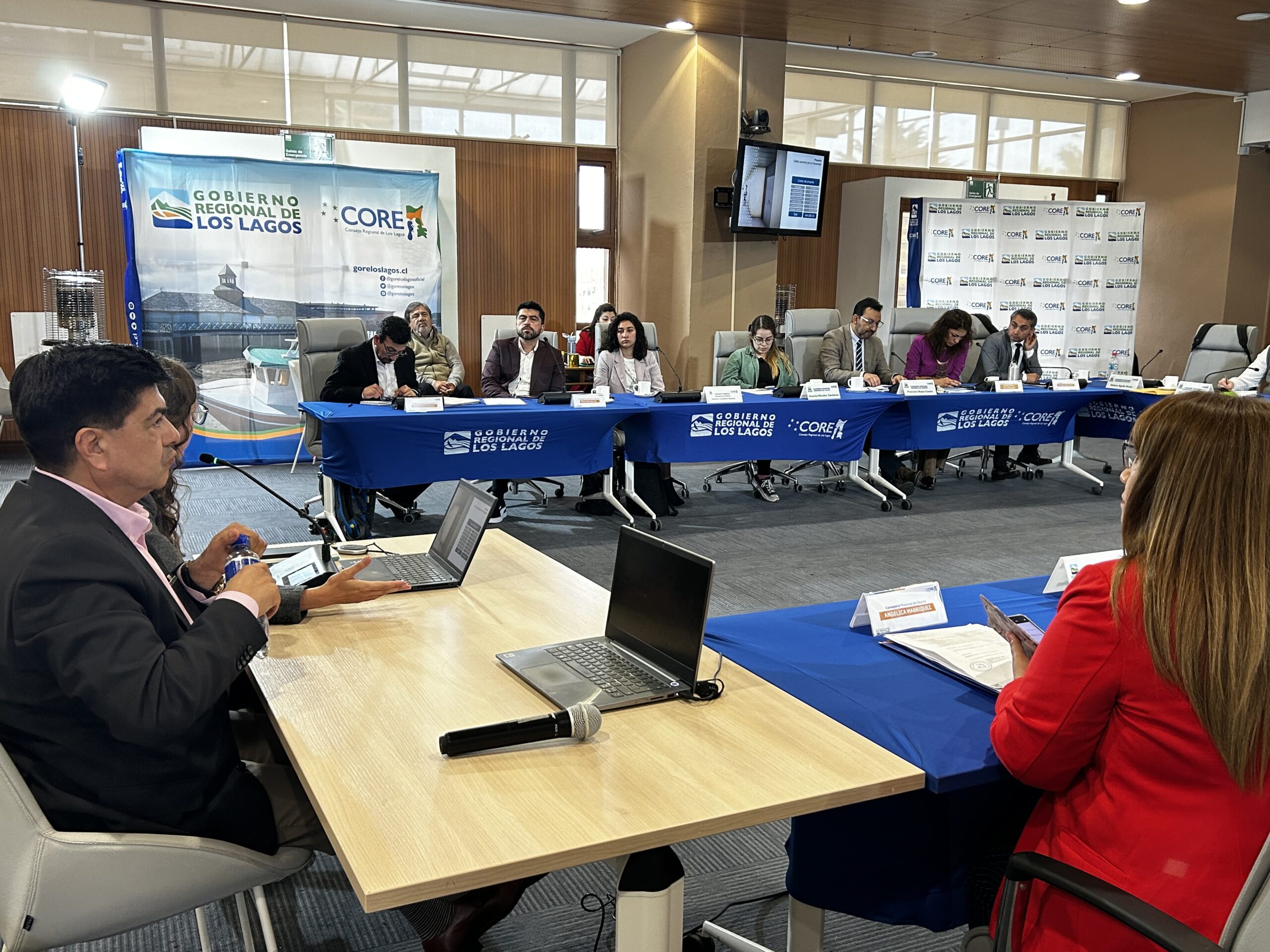 Proyecto ULagos fue presentado ante el Consejo Regional