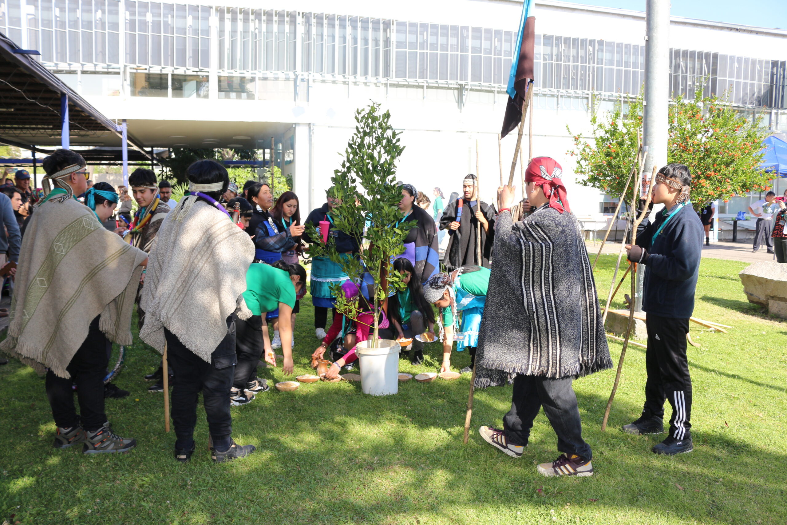 ULagos y UC de Temuco se adjudican proyecto de vinculación internacional para la investigación intercultural