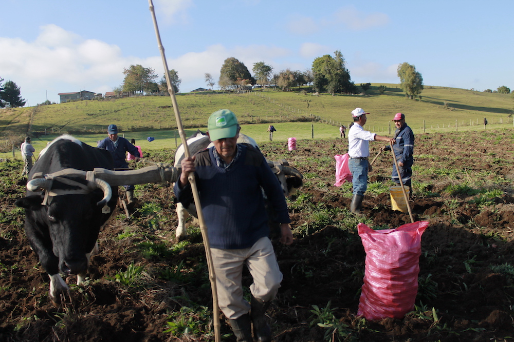 La tasa de desocupación regional se mantiene por debajo de la cifra nacional