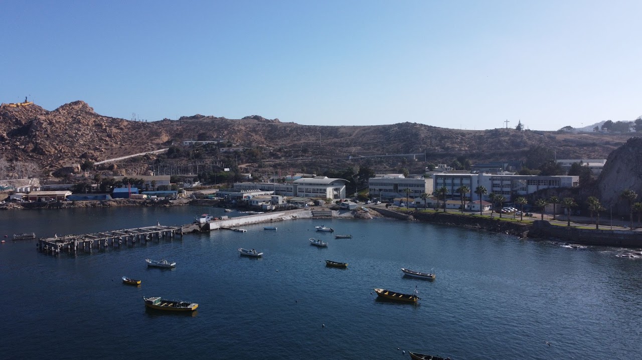 ULagos presente en el IX Congreso Nacional de Acuicultura en Coquimbo