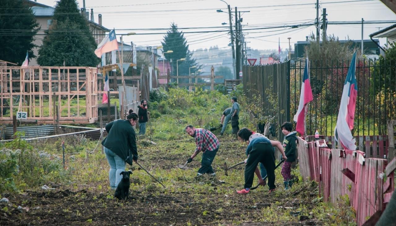 Investigadores ULagos publican en prestigiosa revista trabajo sobre retorno de las tomas de terreno en Osorno
