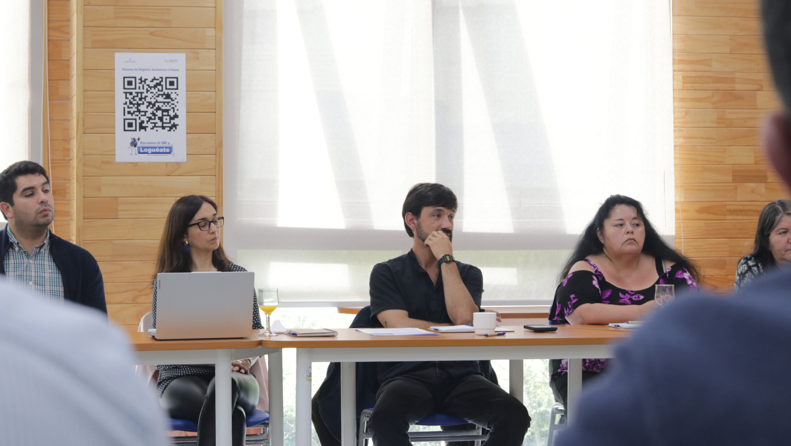 Consejo Asesor Estratégico ULagos establece agenda para el desarrollo sostenible de la región