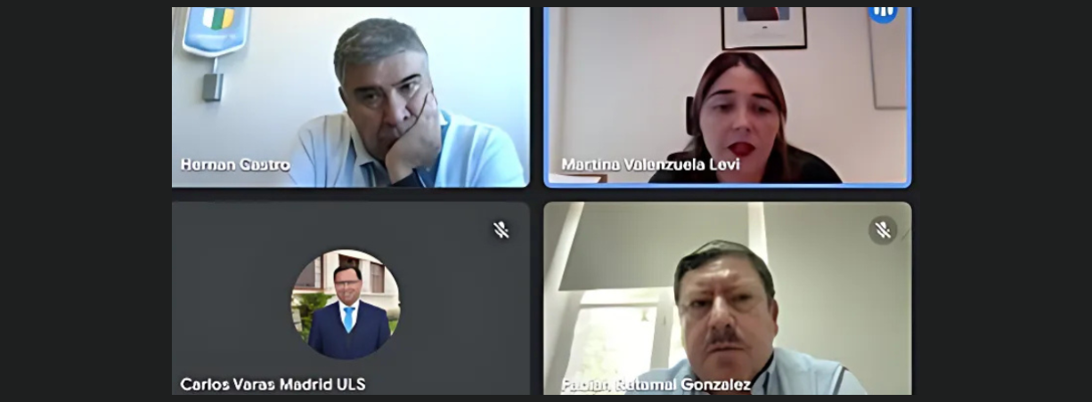 Red VCM realiza reunión plenaria escuchando exposición de jefa de División de Desarrollo Regional
