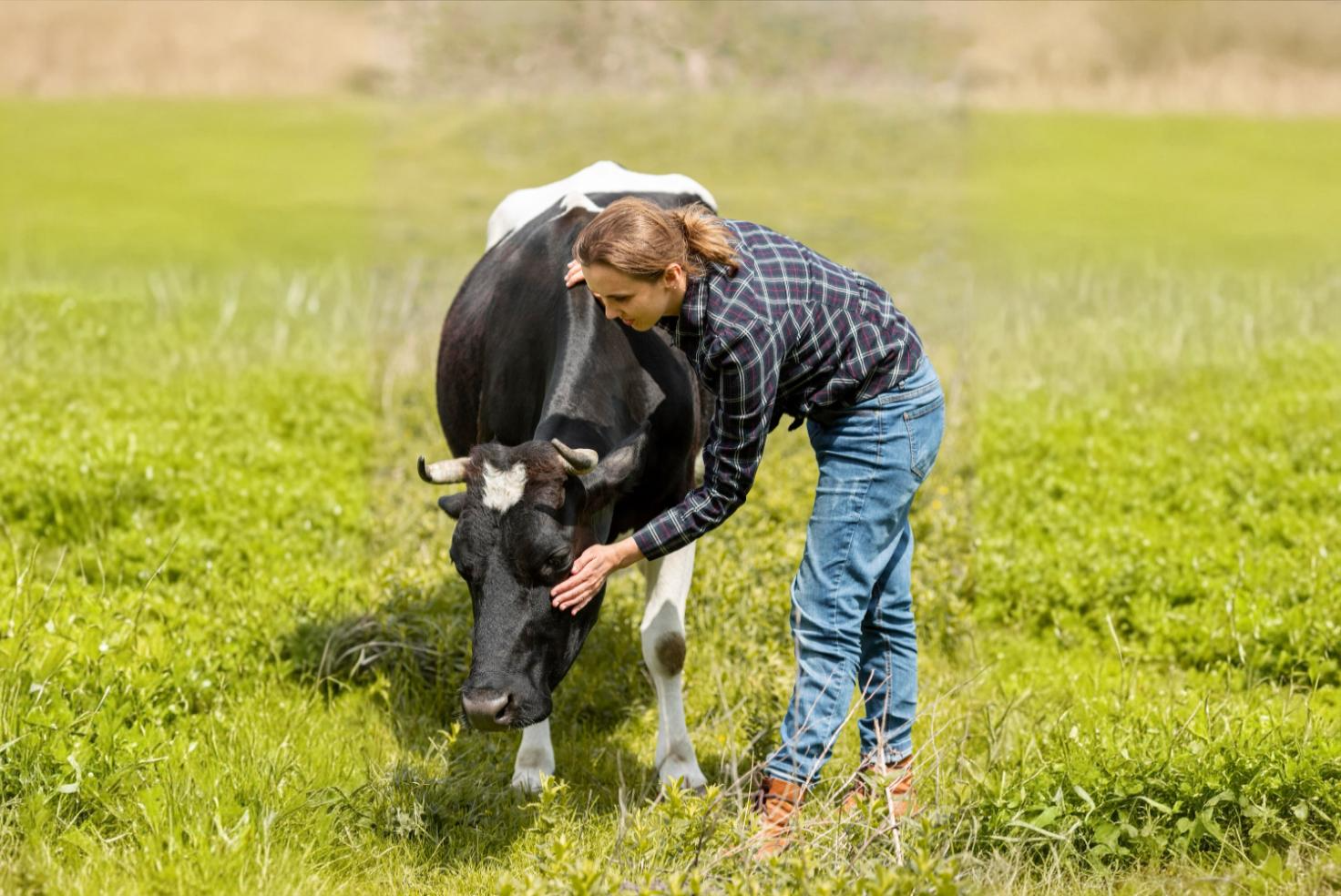 ULagos prospecta la apertura de Medicina Veterinaria para el 2026