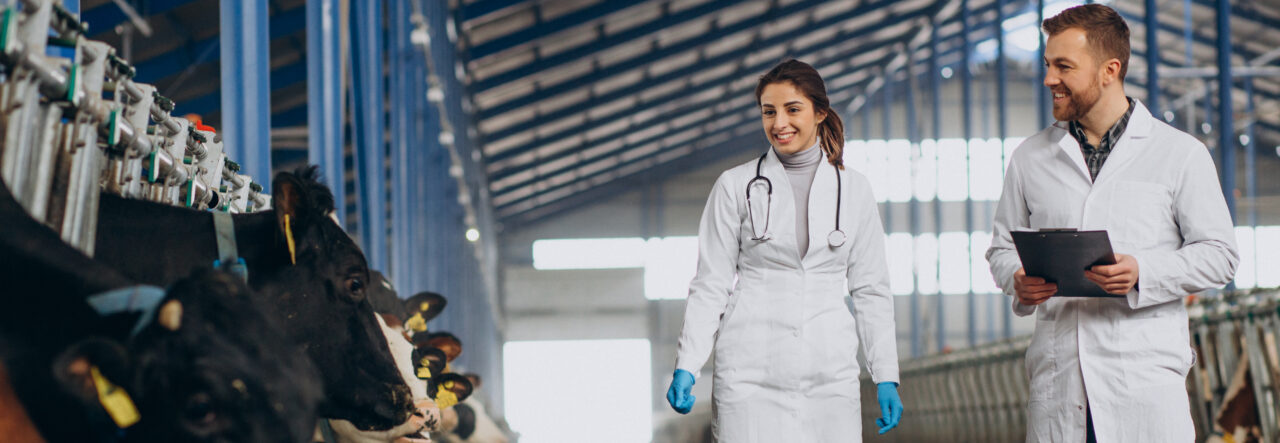 ULagos prospecta la apertura de Medicina Veterinaria para el 2026