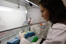 Investigadora ULagos es destacada entre las mujeres científicas del país