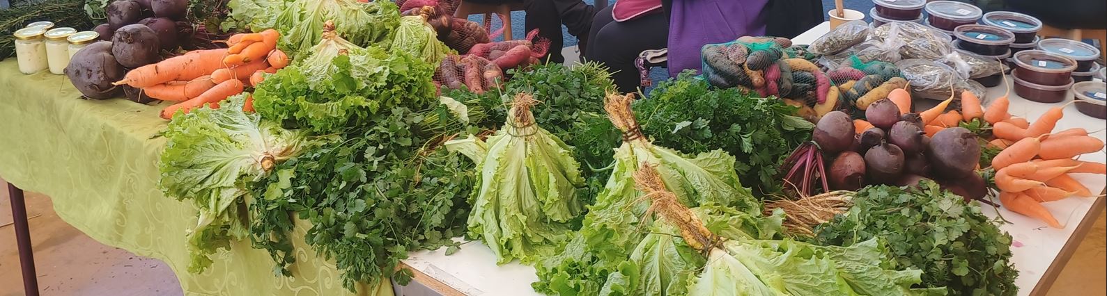 Feria de pueblos originarios en el Campus Puerto Montt