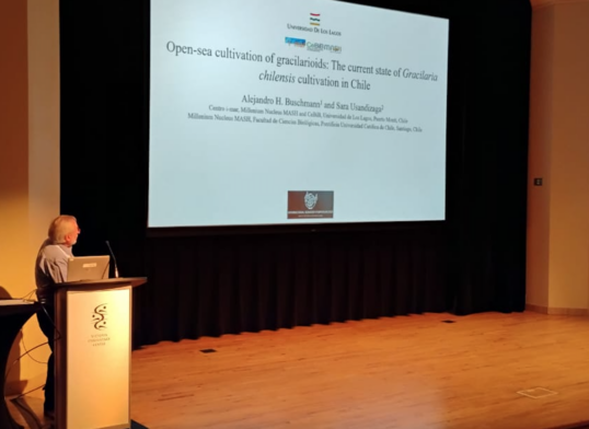 Centro i-mar ULagos en el International Seaweed Symposium