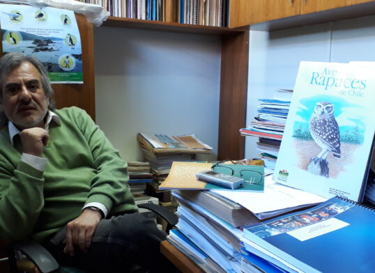 Investigador ULagos participa en prestigiosa publicación