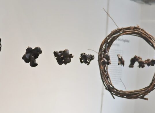Galería La Caracola inauguró dos exposiciones de artistas puertomontinos