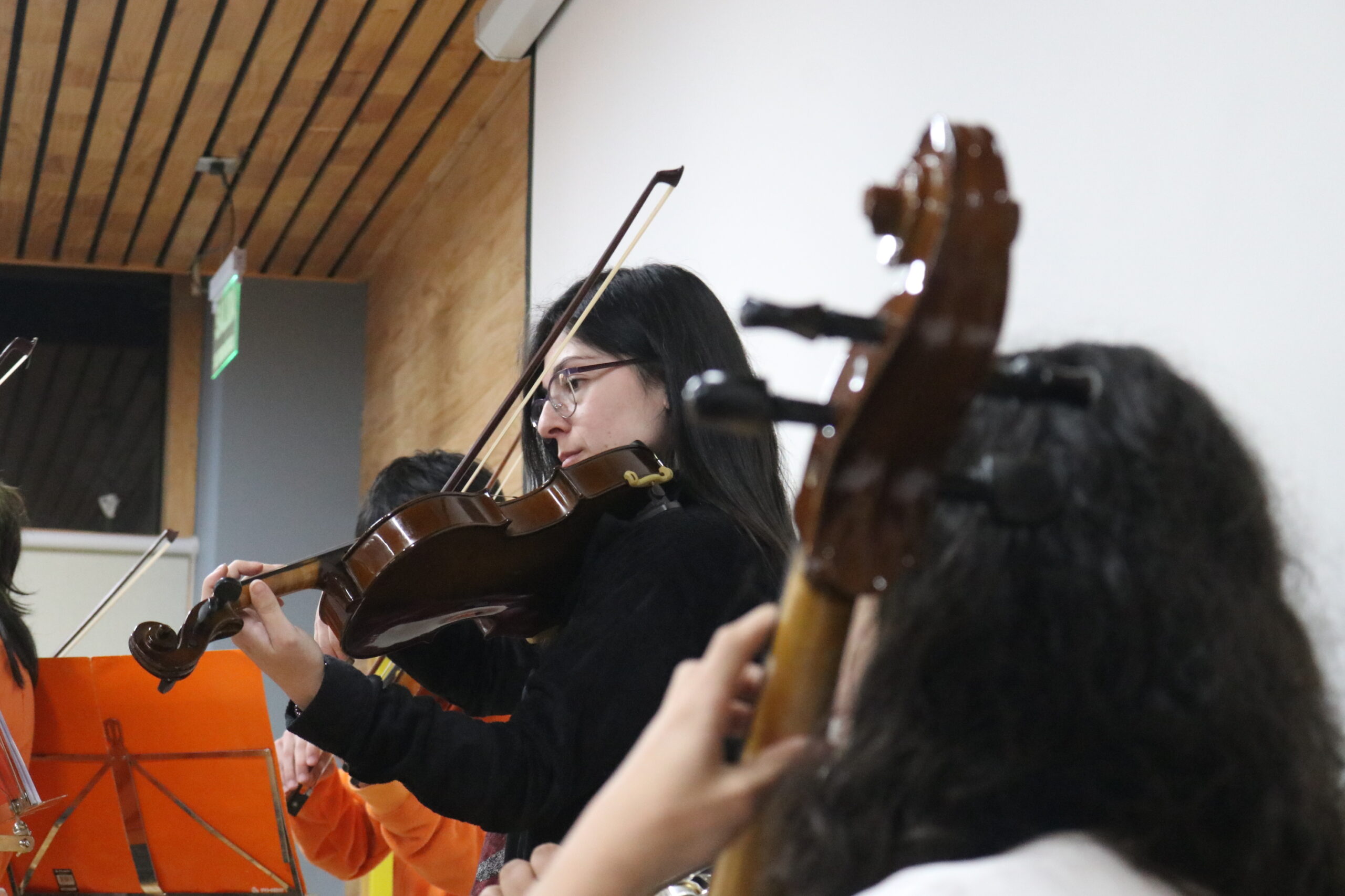 Temporada de conciertos en la ULagos
