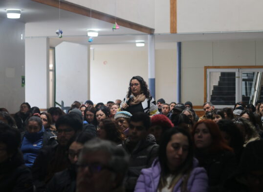 Terapia Ocupacional realiza charla sobre desregulación emocional a profesores/as de Chiloé