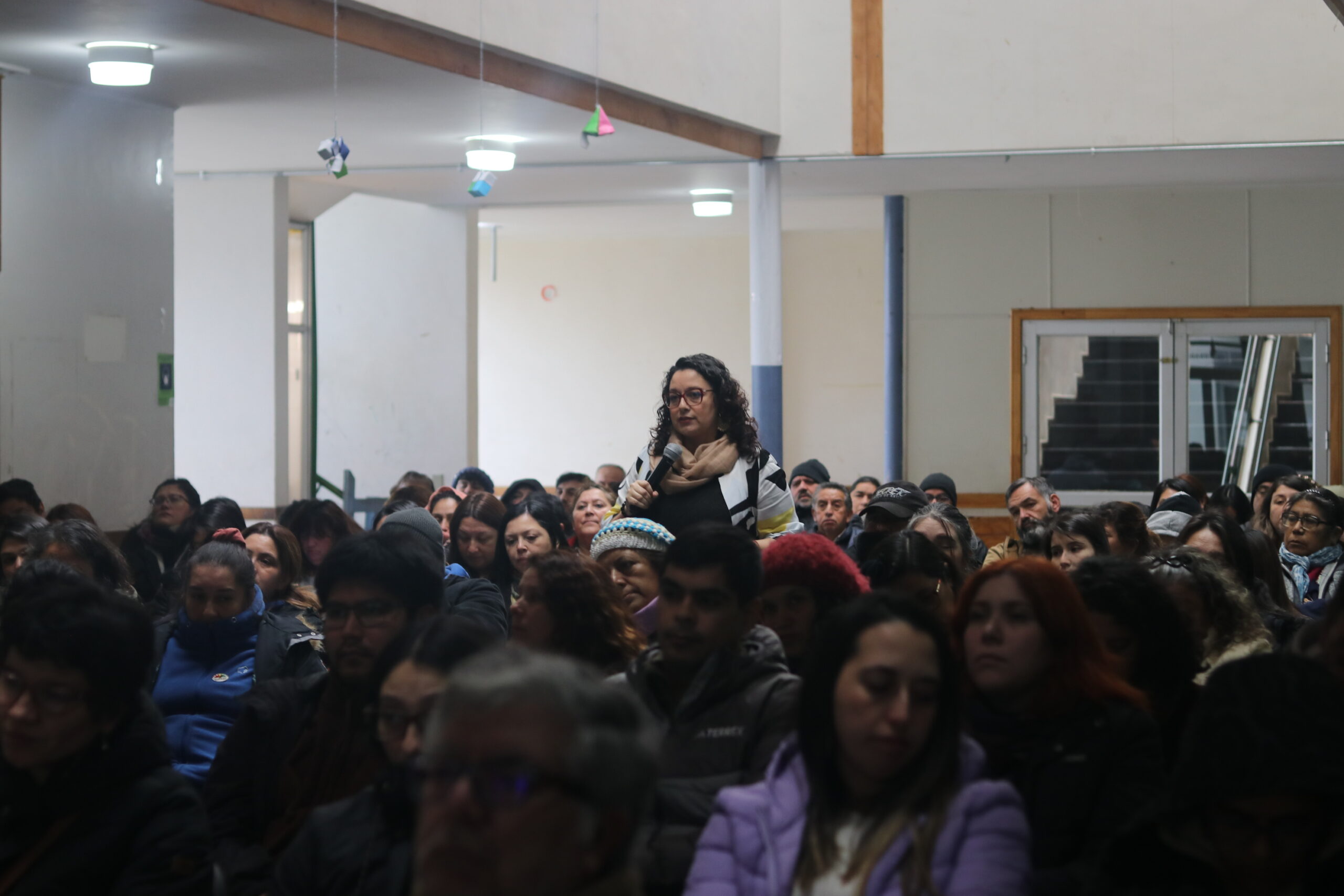 Terapia Ocupacional realiza charla sobre desregulación emocional a profesores/as de Chiloé