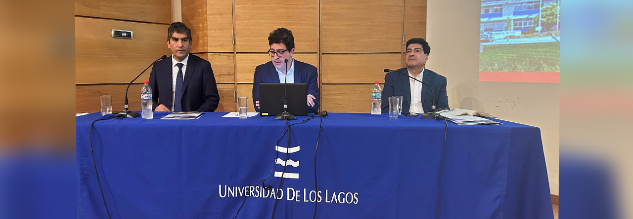 Elecciones Rector ULagos 2025-2029