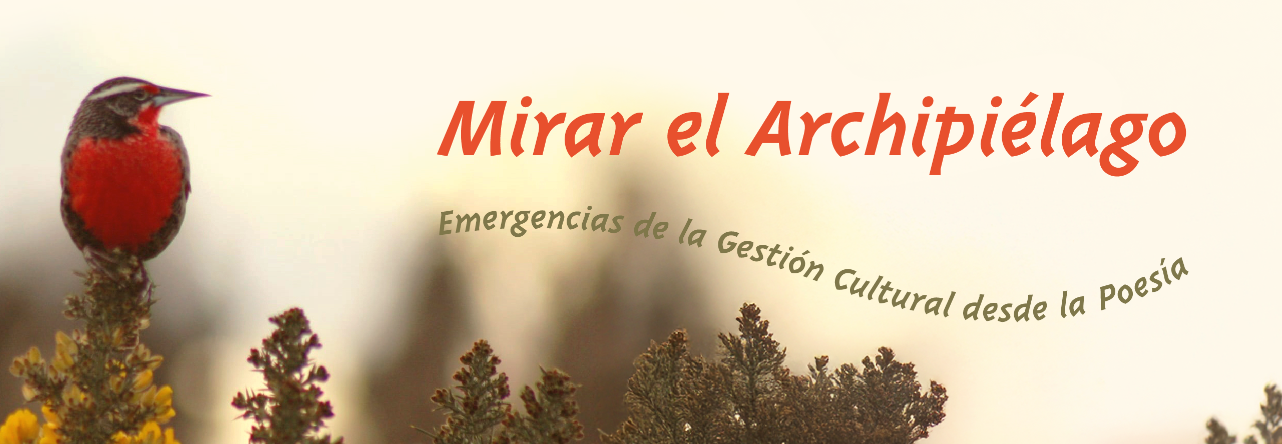 ULagos será sede del encuentro “Mirar el Archipiélago: emergencias de la gestión cultural desde la poesía” en Ancud