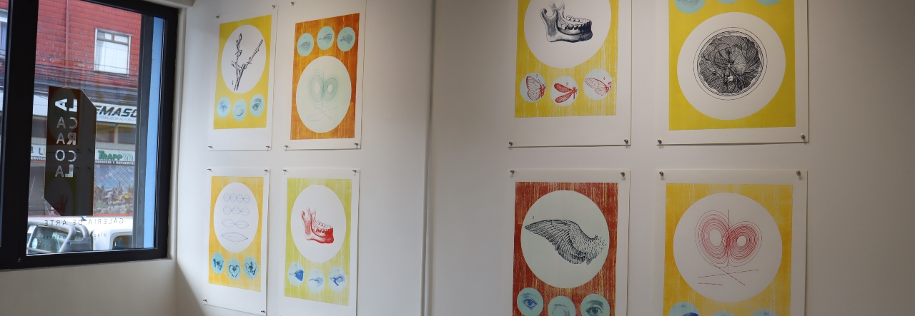 Galería La Caracola inauguró dos nuevas exposiciones basadas en el mundo editorial
