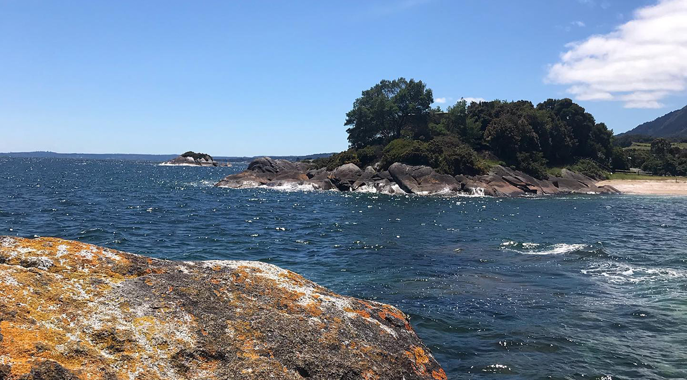 Investigador del CEDER ULagos lidera estudio colaborativo para la conservación de la costa de Metri