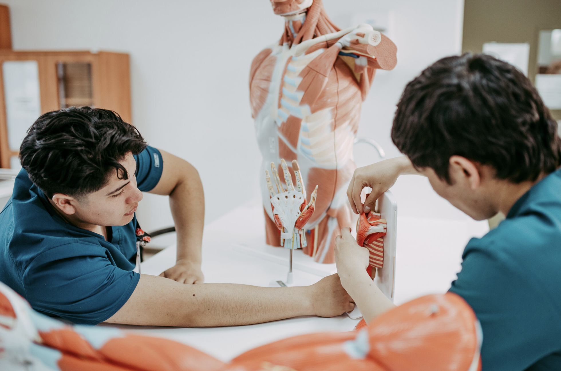 Universidad de Los Lagos presentará oficialmente la carrera de Medicina en Chiloé