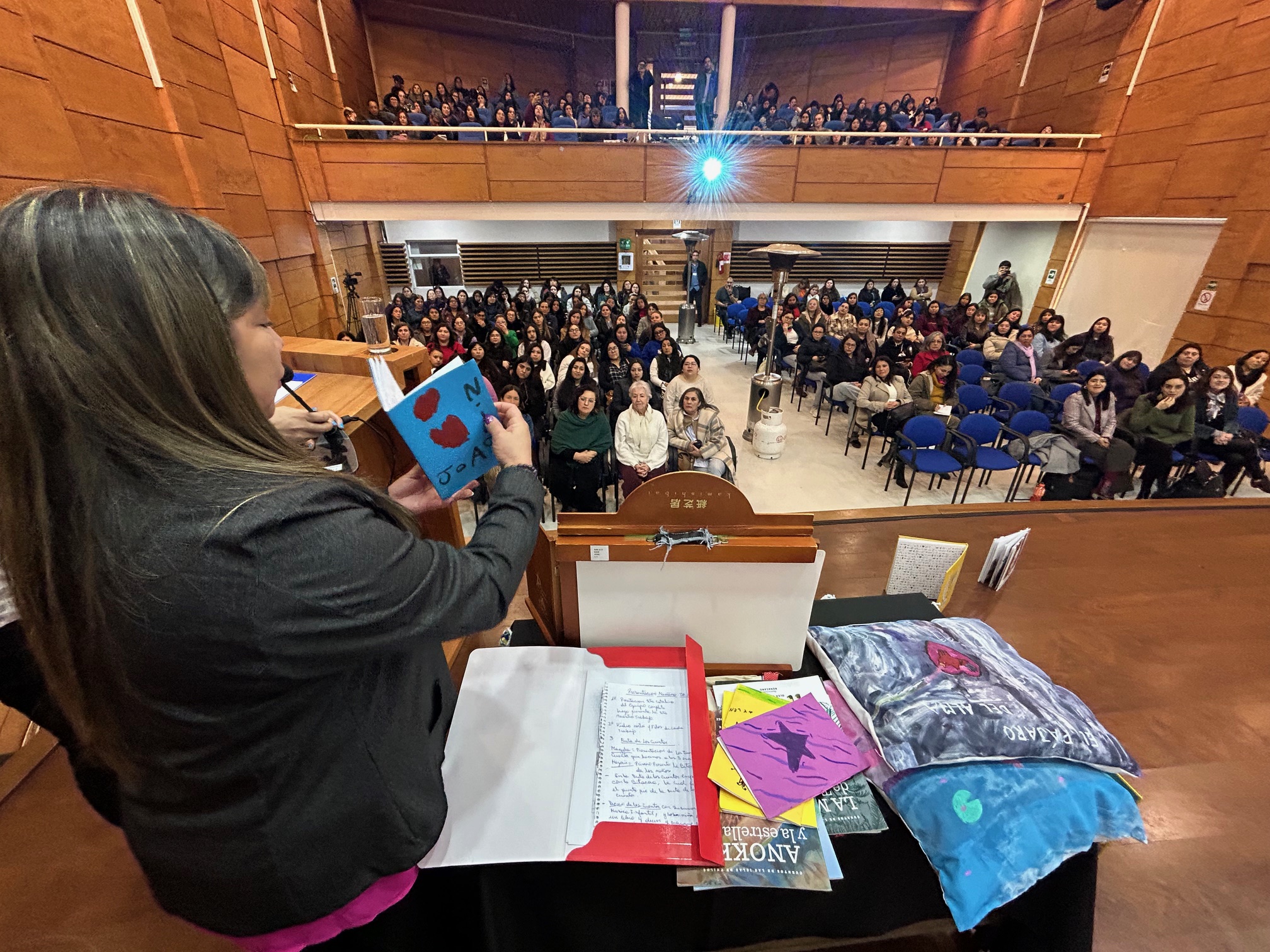 Universidad de Los Lagos y Centro Lector de Osorno: alianza virtuosa para incentivar la lectura en la infancia