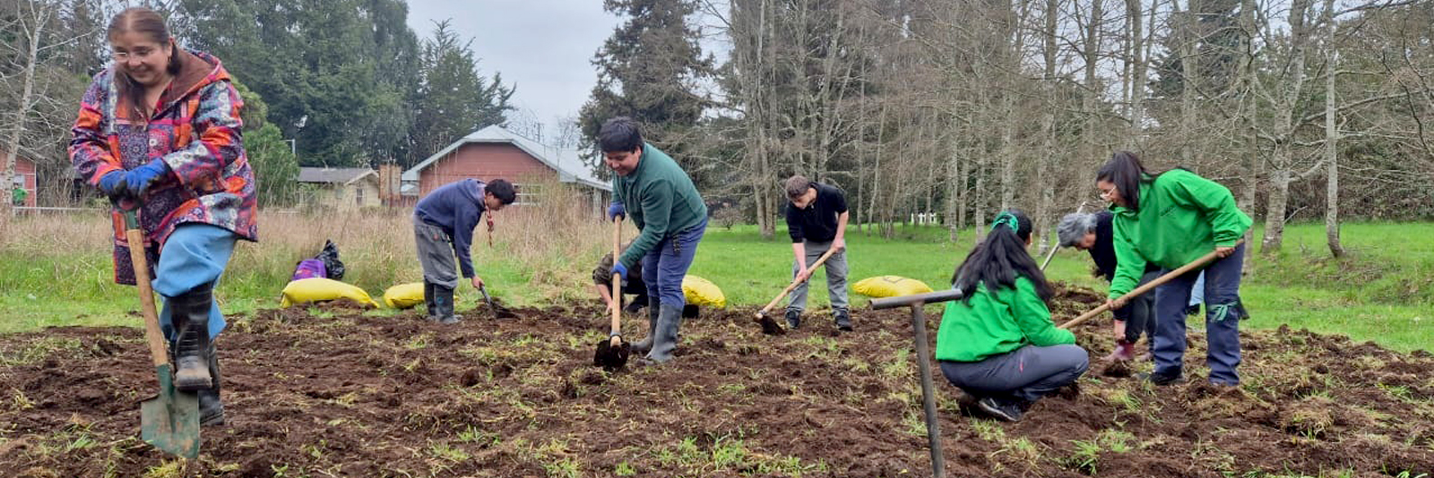 ULagos Sustentable convocó a primera jornada de plantación de un bosque con técnica Miyawaki en campus Osorno