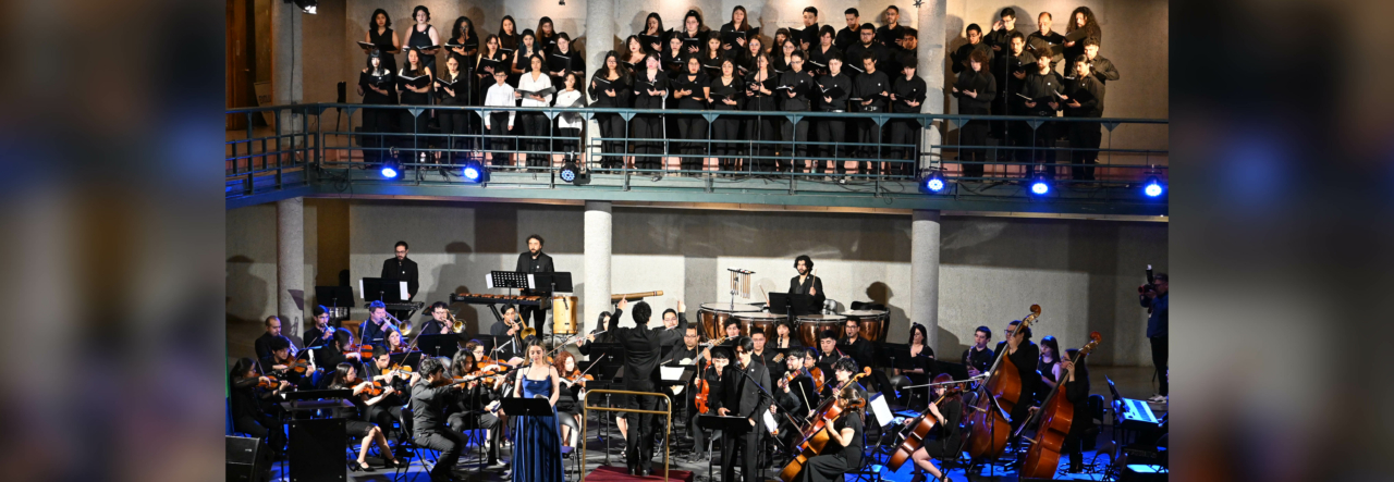 Universidad de Los Lagos