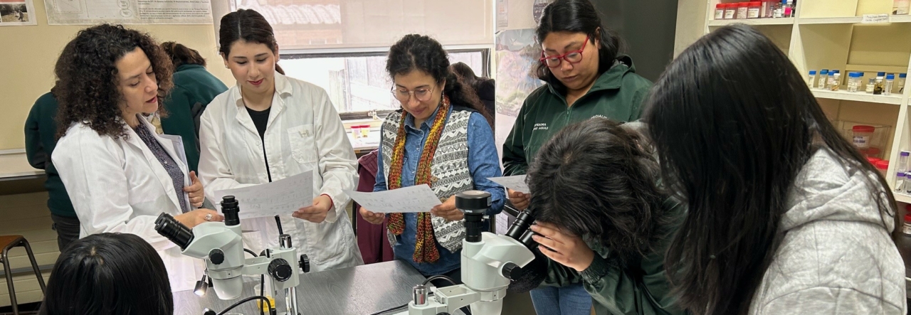Estudiantes viven la ciencia en Laboratorio de Limnología ULagos