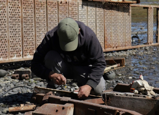 Académicos ULagos publican en prestigiosa revista internacional
