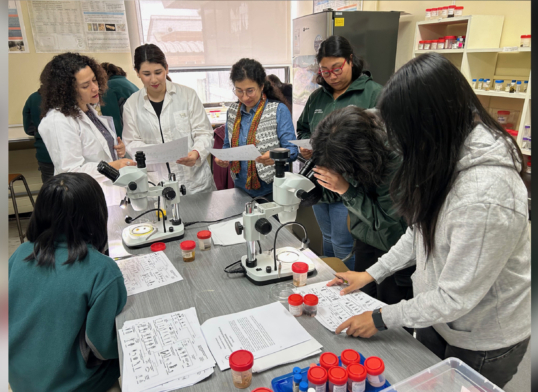 Estudiantes viven la ciencia en Laboratorio de Limnología ULagos