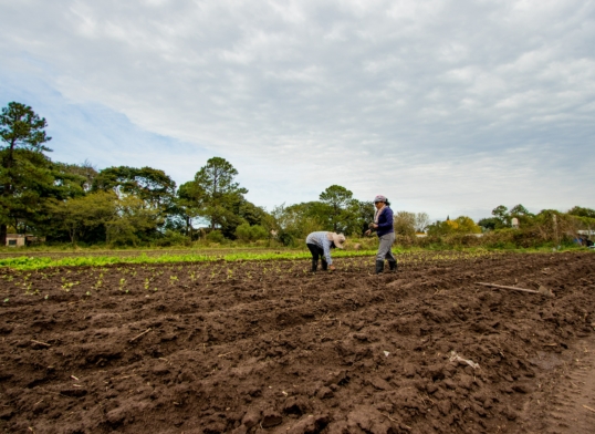 Estudio sobre mujeres rurales avanza hacia medición nacional del uso del tiempo con aporte académico de la ULagos