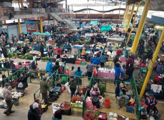 Publicación: Prácticas de sustentabilidad ecológica e ingresos agrícolas en Chile