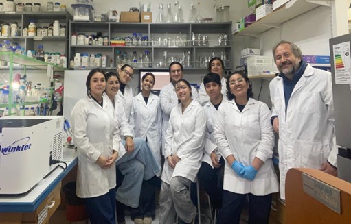 Estudiantes ULagos aprenden ejecutando experiencias de investigación en ciencias biomédicas