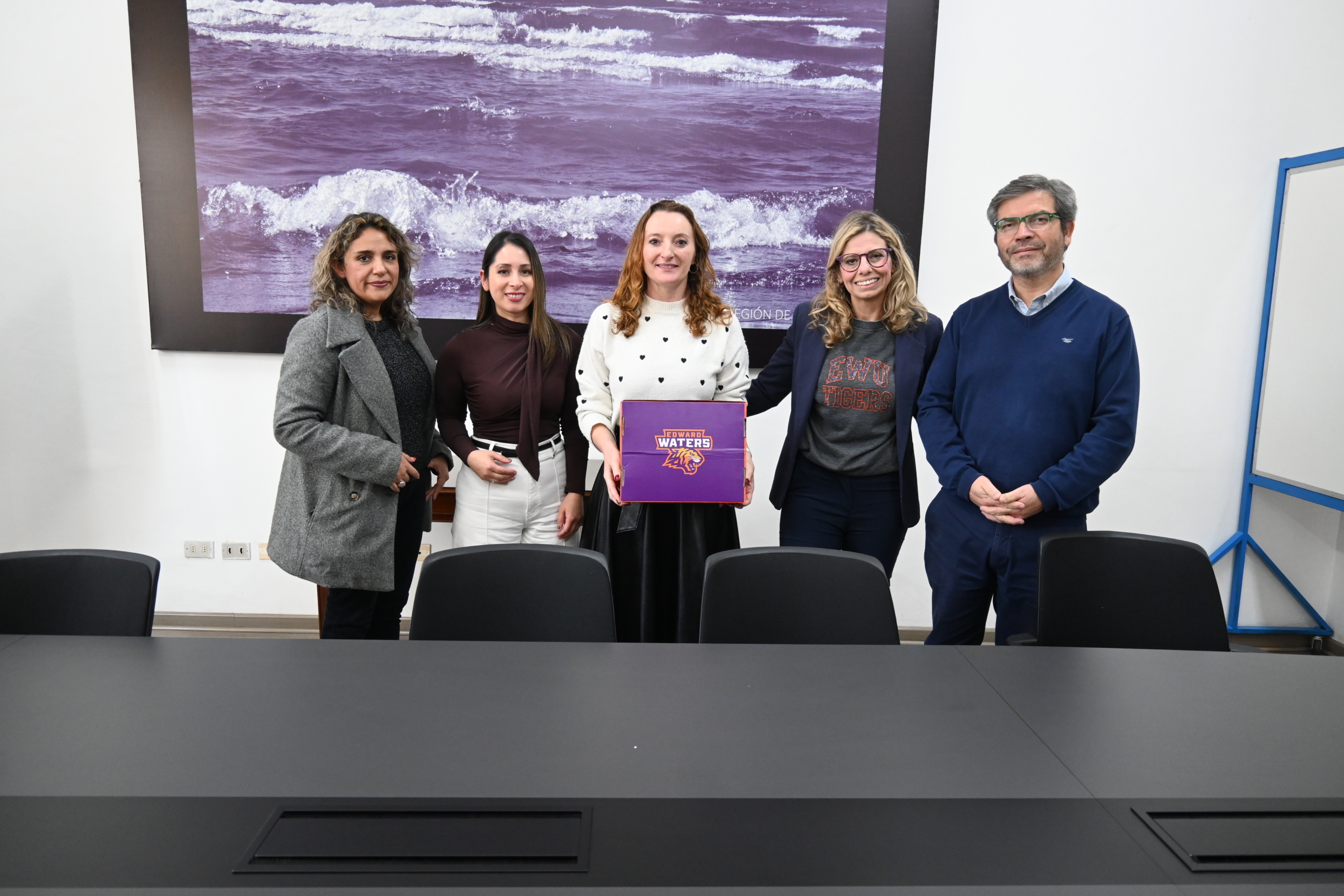 Académicas presentan en Santiago proyecto internacional de telecolaboración