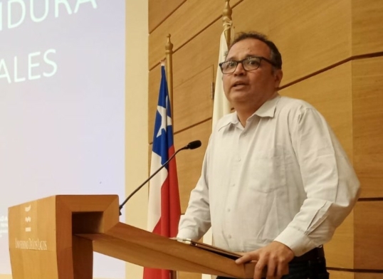 Director del Departamento de Ciencias Exactas representará a Chile en Comisión de Divulgación de la Matemática
