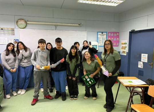 Rompecolumna y Bingo Vertebral: los juegos con que estudiantes ULagos enseñan hábitos saludables en escuelas rurales