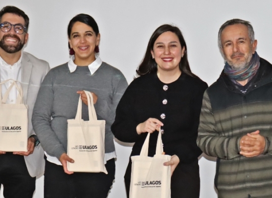 ULagos y Laboratorio de Gobierno fortalecen capacidades de innovación pública en la Región de Los Lagos